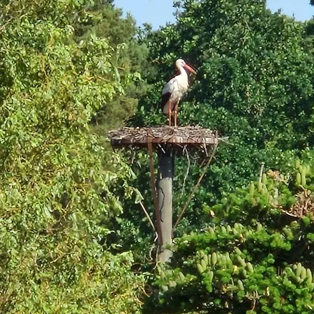 Vielanker Brauhaus Gmbh Vielank